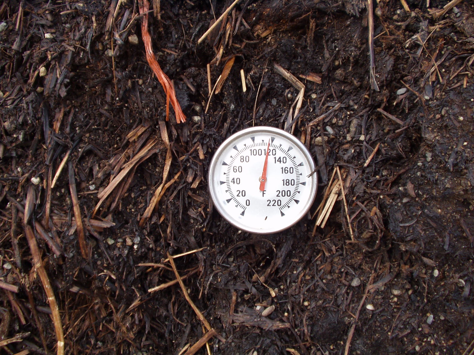 Compost and Substrate Thermometer