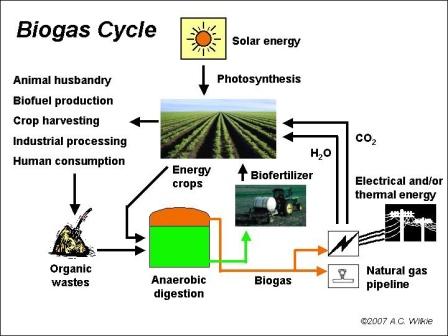 Biogas Cycle